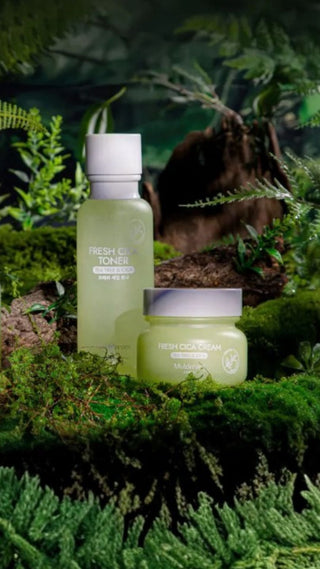 Línea de Centella Asiática - Muldream