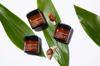 Simple Set Piel Grasa - Mizon Mucina de Caracol